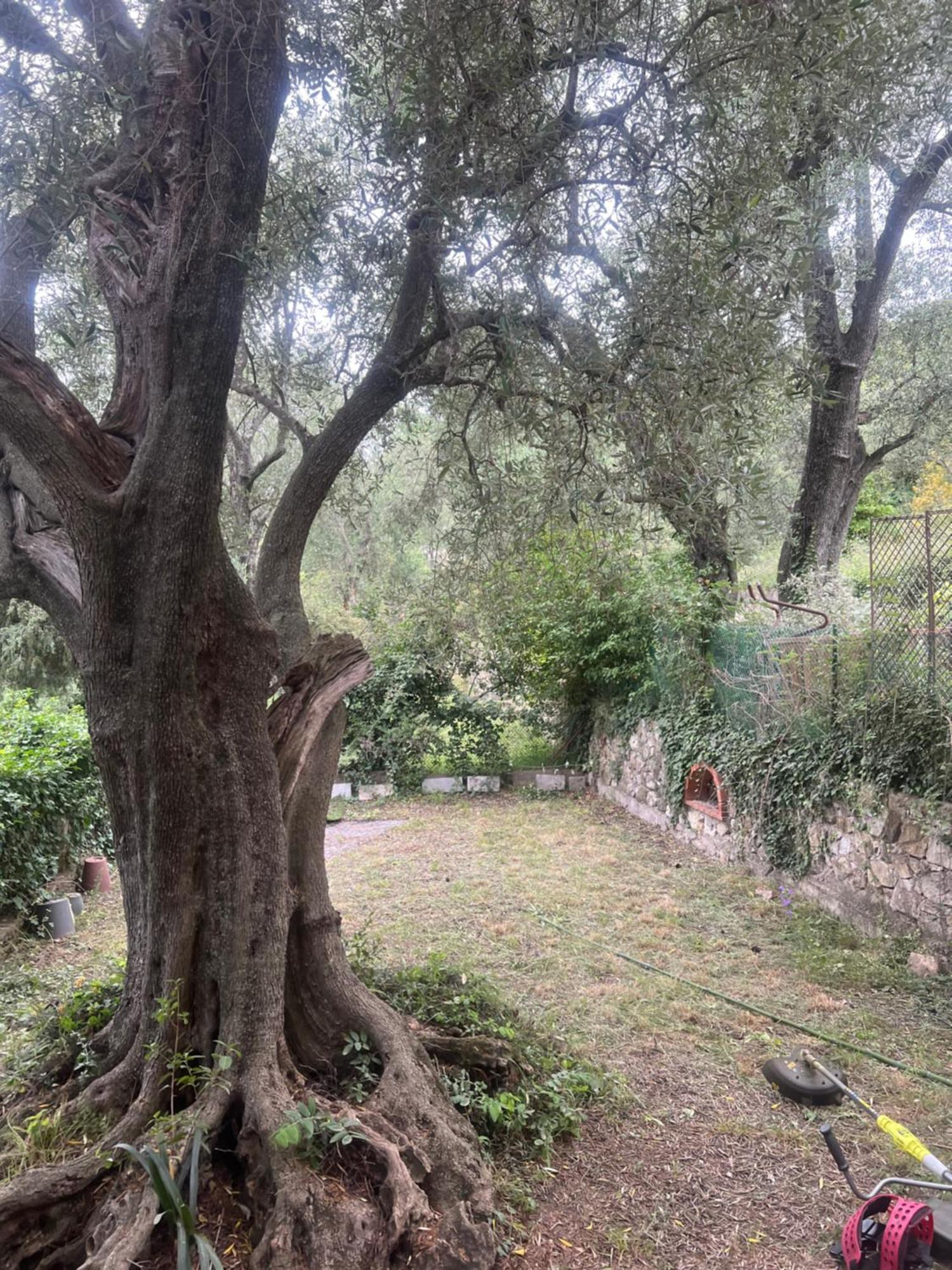 Bas De Villa Vue Mer Eze Village Eksteriør billede
