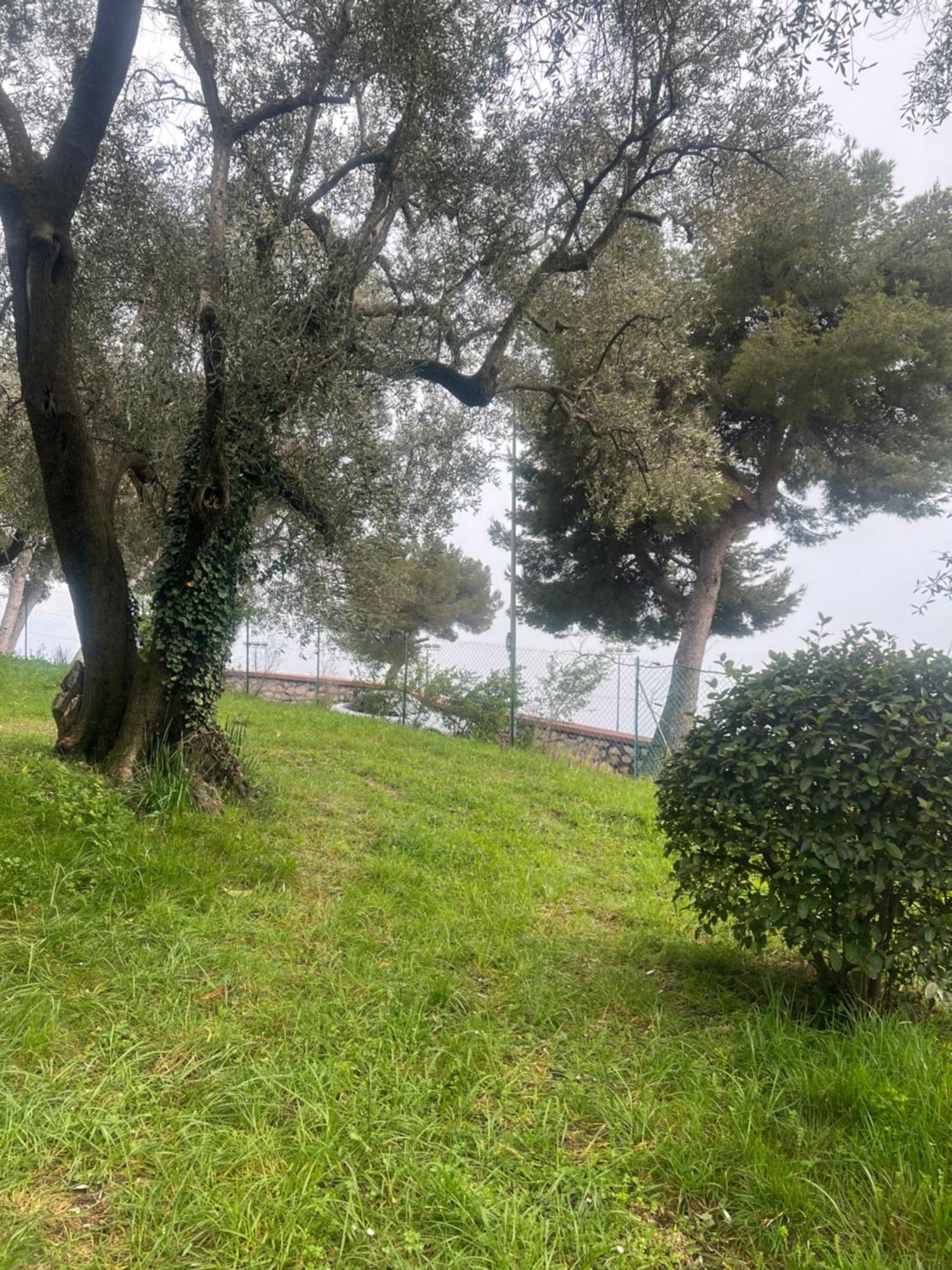 Bas De Villa Vue Mer Eze Village Eksteriør billede
