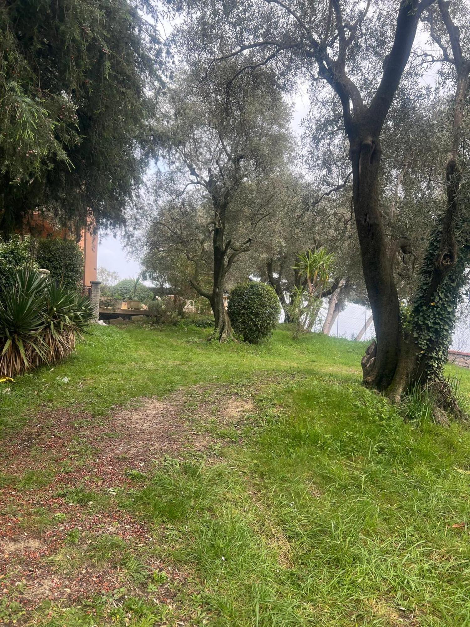 Bas De Villa Vue Mer Eze Village Eksteriør billede